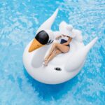Intex Inflatable Mega Swan Floating Island